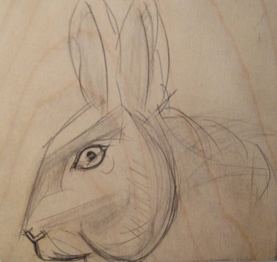 Image of “Rabbit Attends P.S. 1”